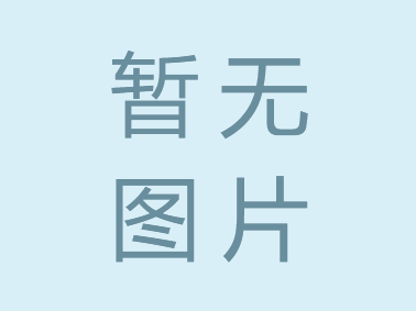 HLZ（2025) X0001